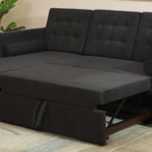 The Aris Sectional Sleeper